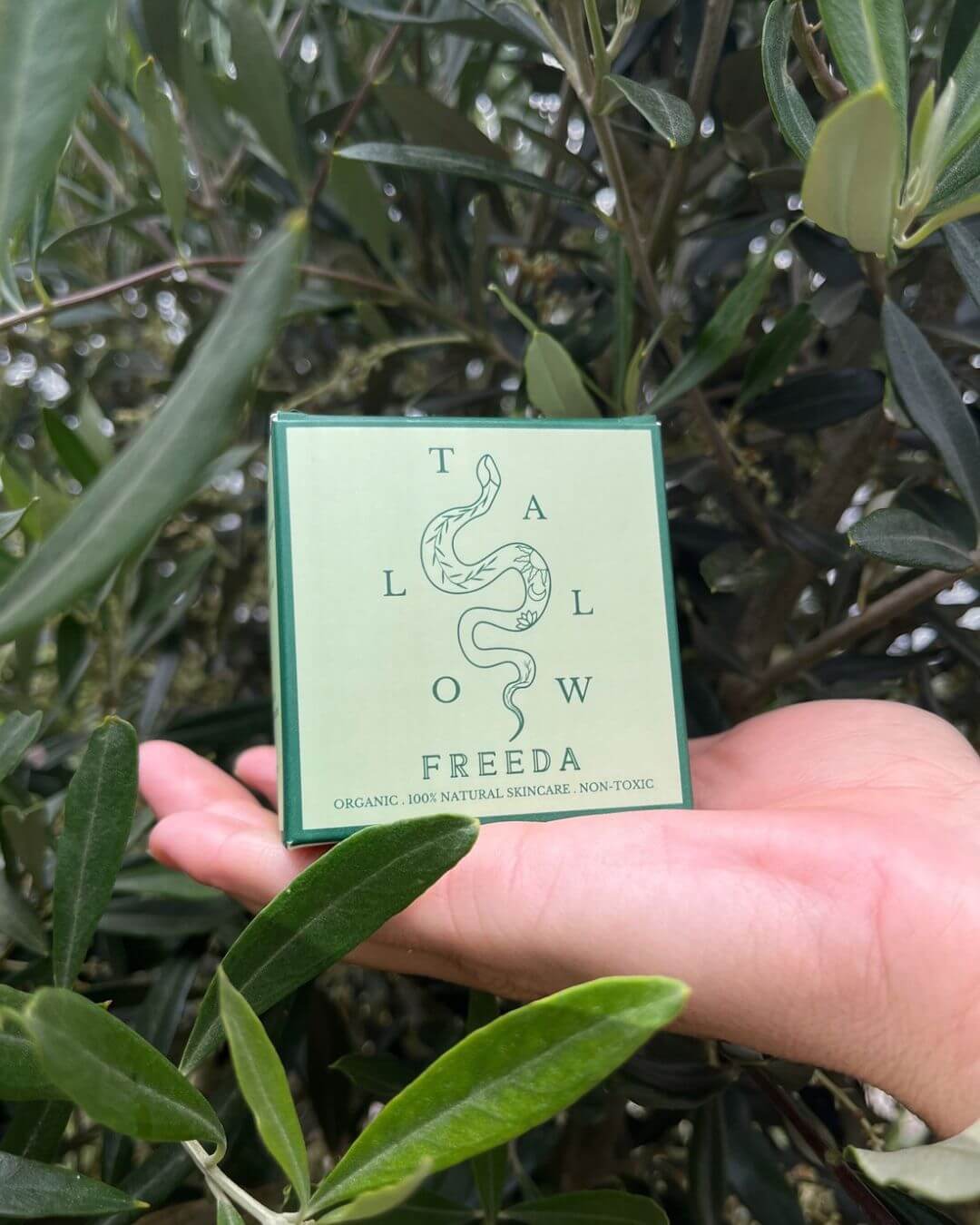 Salcombe Tallow Freeda